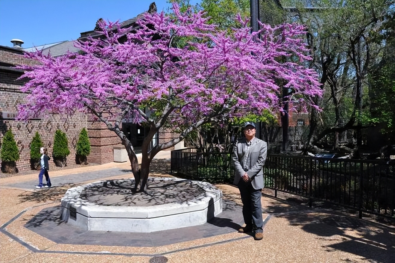 回忆美国旅行/到达梦中的芝加哥城（二）