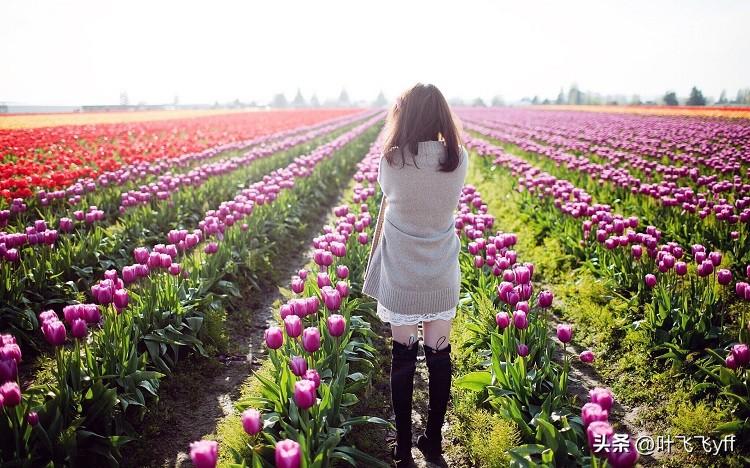 已婚女可以和蓝颜知己牵手拥抱吗,中年女人为什么会有蓝颜知己