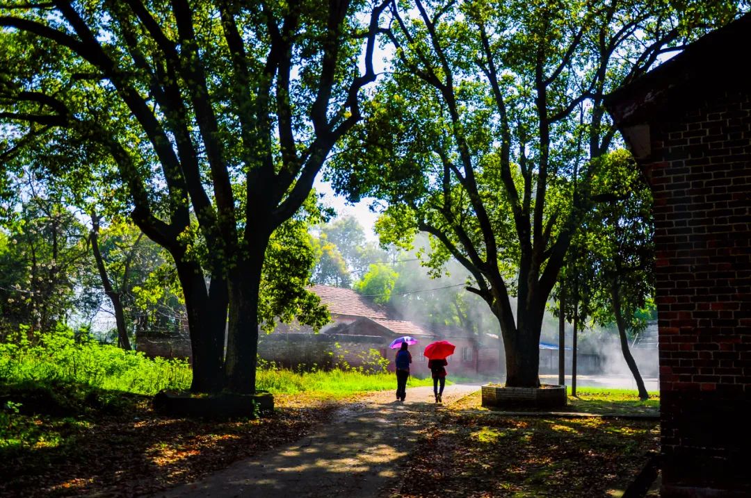 五月最美的诗词,36句绝美夏日诗词