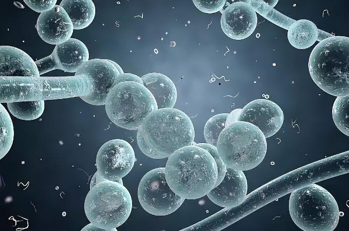 人体抵御细菌感染的第一道防线,人体卫士大战细菌