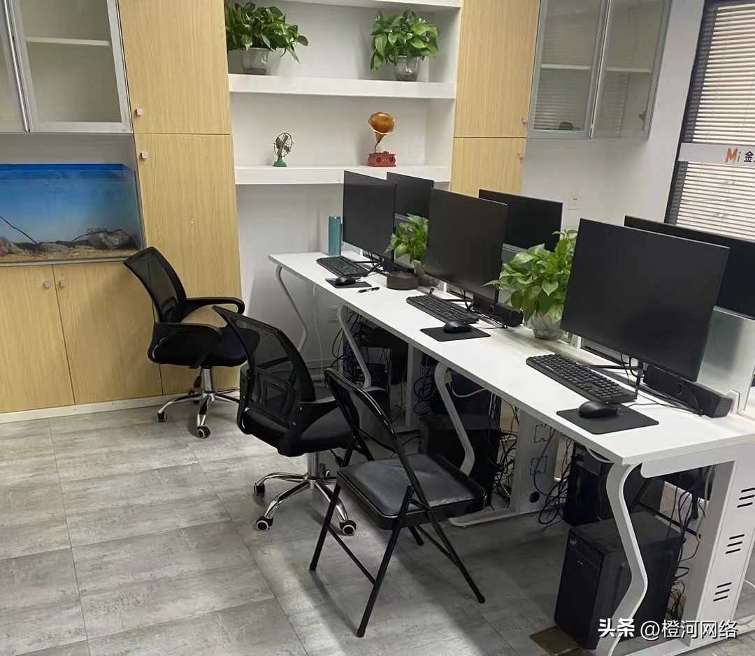 海外问卷调查渠道查什么,海外调查问卷流程