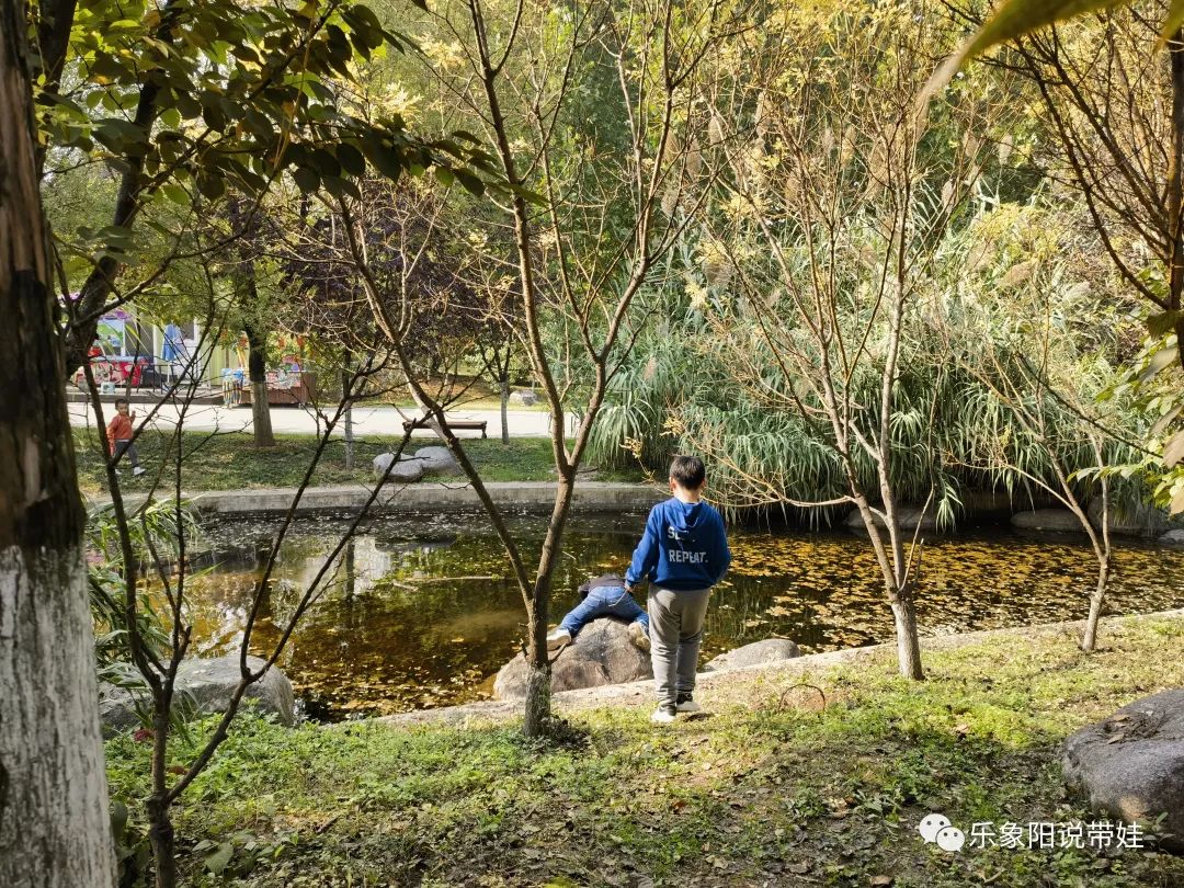 时间都去哪儿了小品完整版,时间都去哪儿了感悟