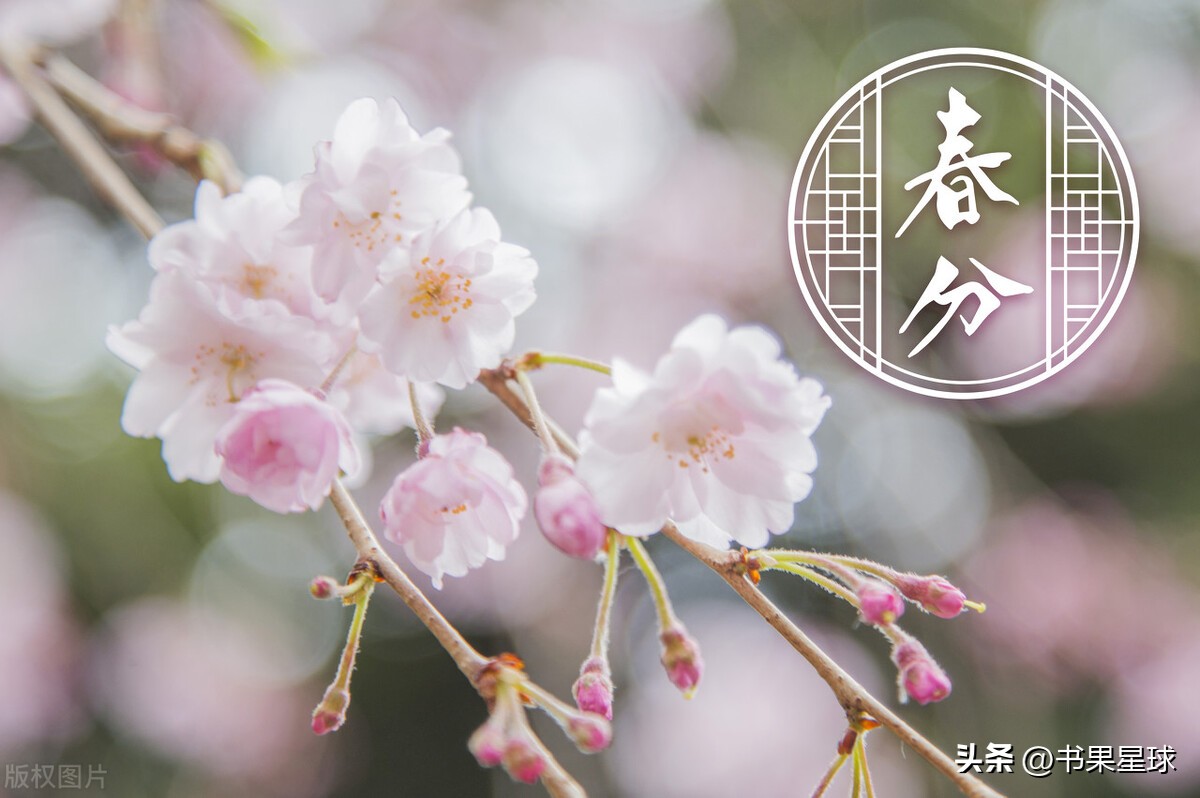 地理的春分和二十四节气的春分,春分的由来和习俗英文