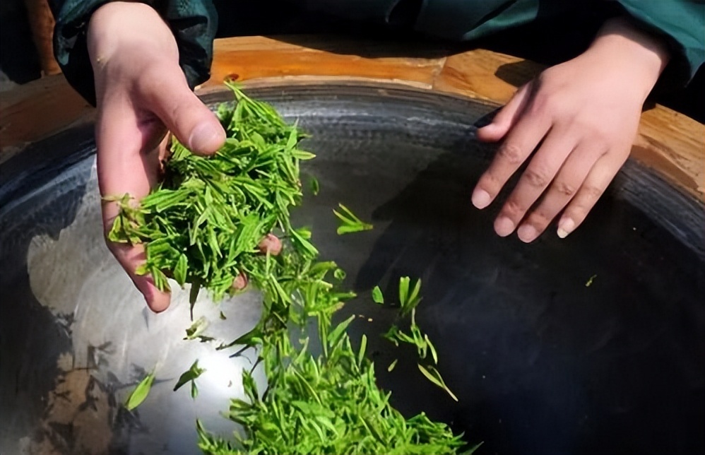 喝普洱熟茶等于喝脏水,普洱熟茶有霉菌吗还能喝吗