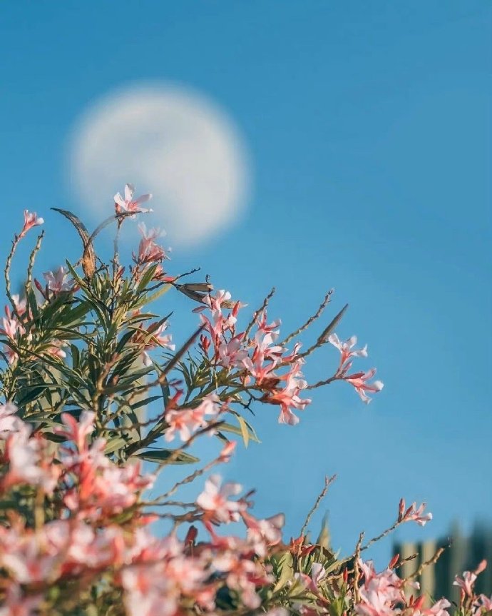 在女人眼里男人做什么都是错,男生哪些行为属于舔狗行为