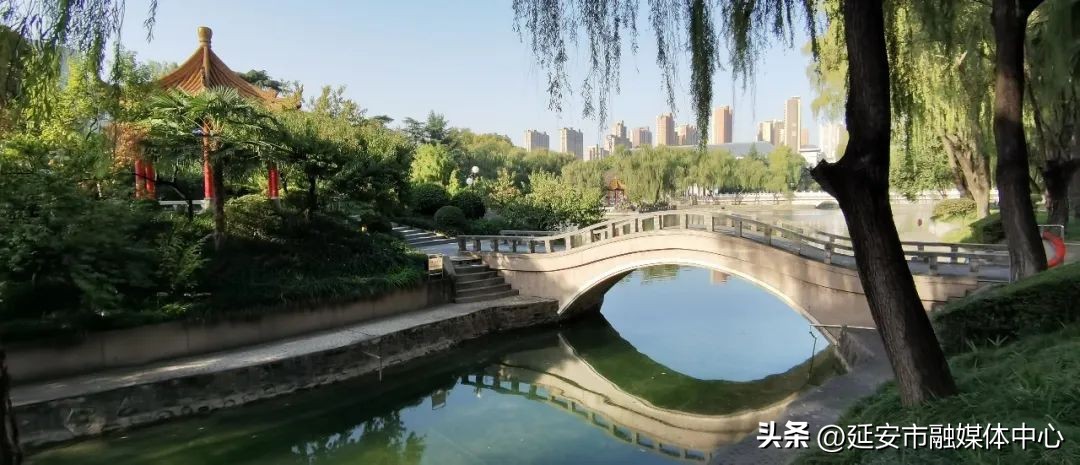 陕西宾馆迎来最佳观花赏景季节,陕西宾馆内景色