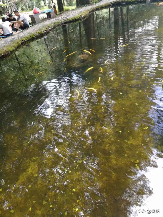 西安香格里拉消费价格,西安香格里拉在哪个区