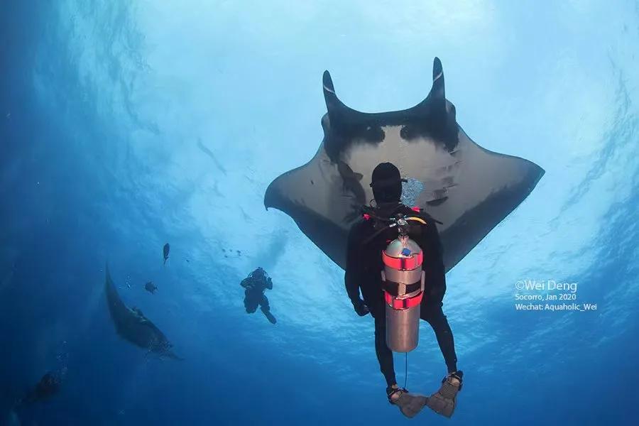 我在南极养企鹅,我在南极的日子