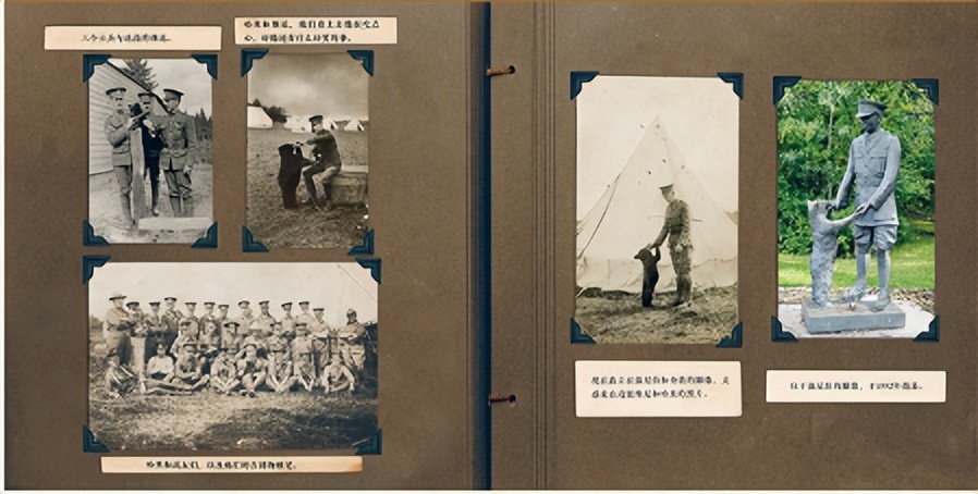 孩子的读书绘本推荐 (儿童点读书绘本图书推荐)