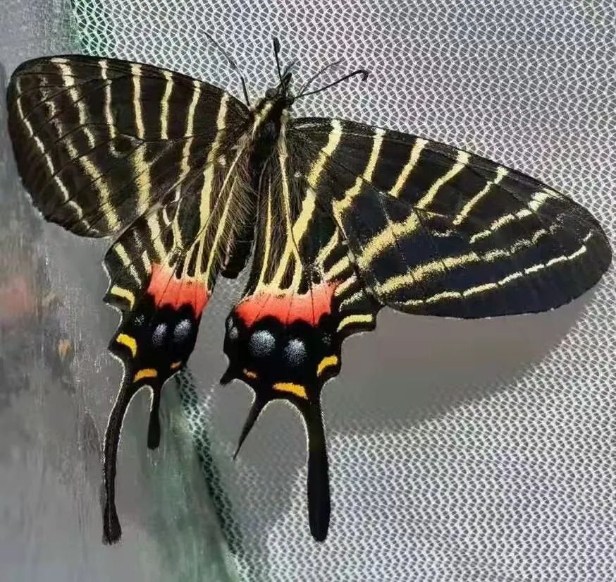 昆明七彩云南怎么样,七彩云南避暑家园