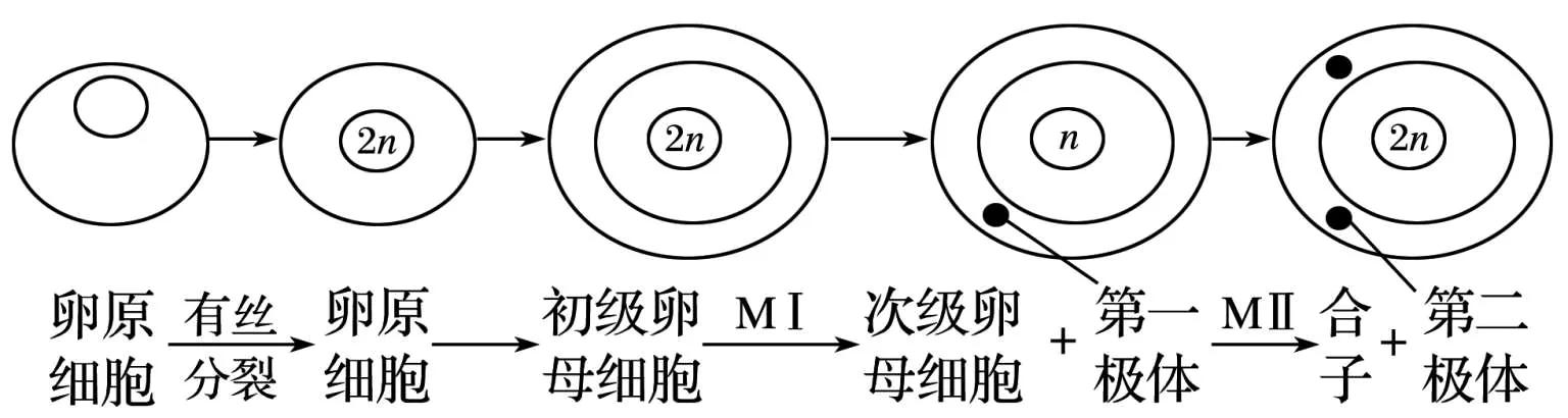 高中生物细胞工程知识点归纳,高二细胞工程的易错点