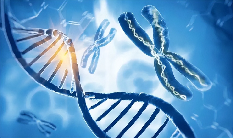 bbs有几种,bbs到底有什么好