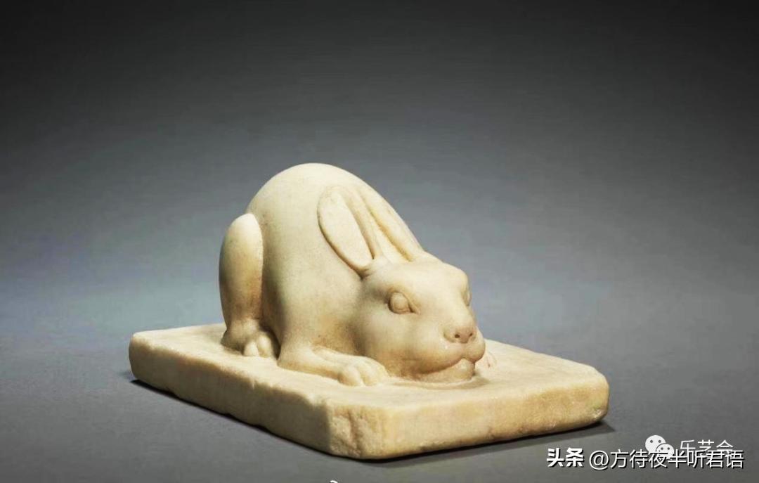 兔年说兔第一段在文中有何作用,兔年说兔说明文