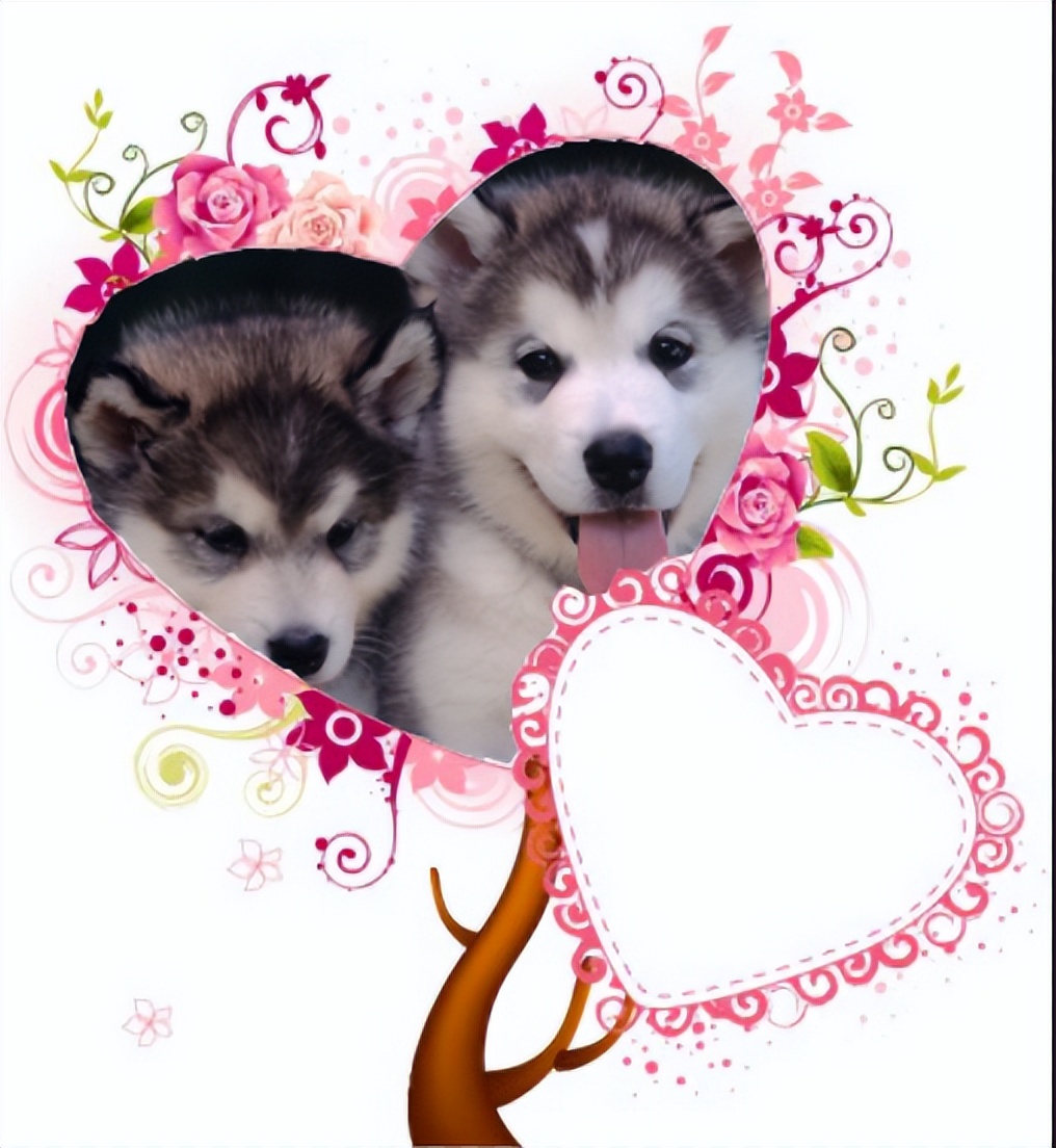 ps如何把照片放入相框,如何用ps给照片加相框