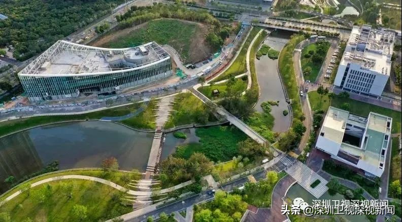 薛其坤5年内把南科大办成双一流,南科大与深圳大学谁先进入双一流