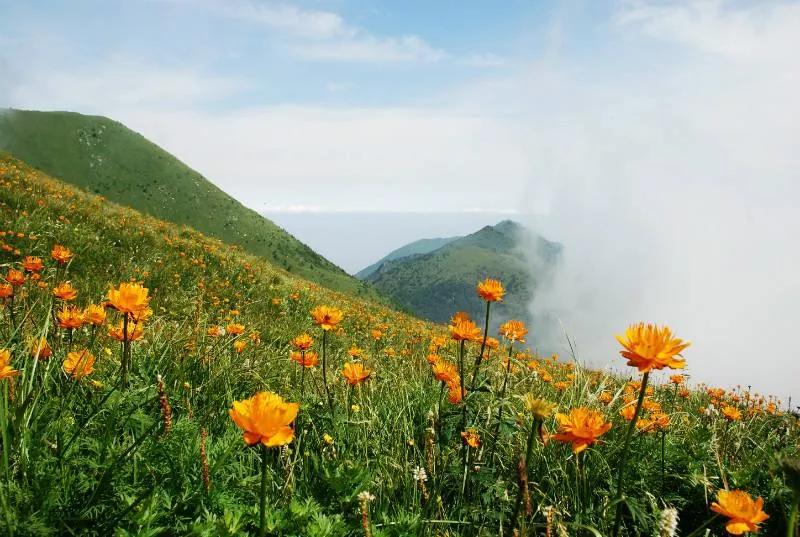 五台山藏传佛教史研究,五台山佛教文化形成的特征