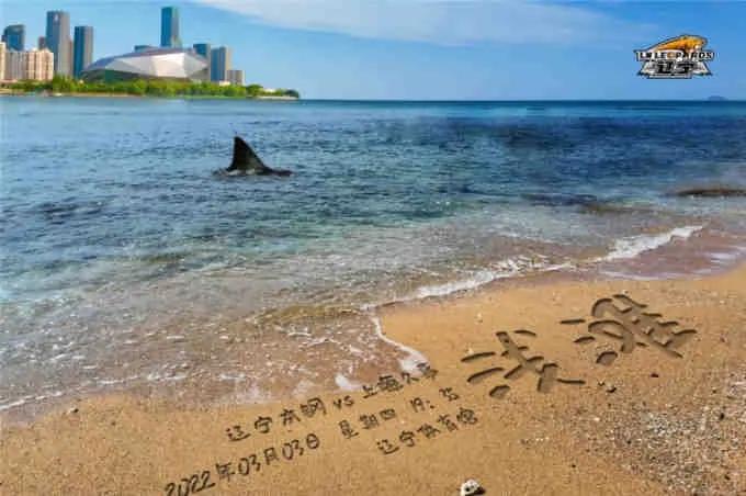 cba赛程辽宁对战福建谁赢了,cba福建队赢了几场