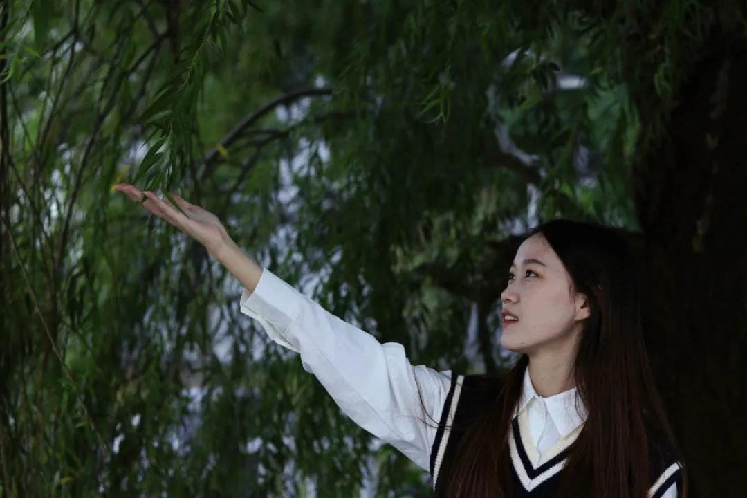 母亲的陈述蒙语,母亲的陈述简介