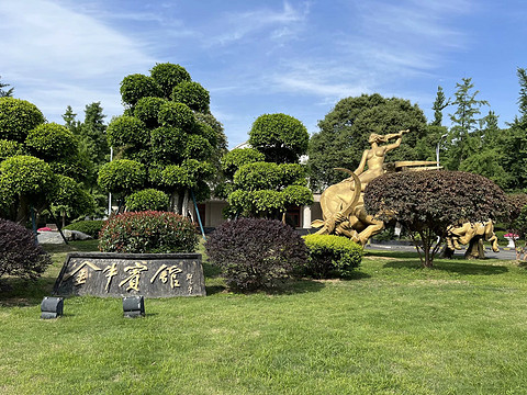 鍒濆涔嬫梾榛勯噾娴峰哺,鍒濆涔嬫梾