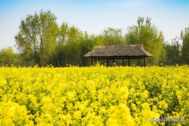 网络信息带来的利与弊,如何看待网络信息焦虑