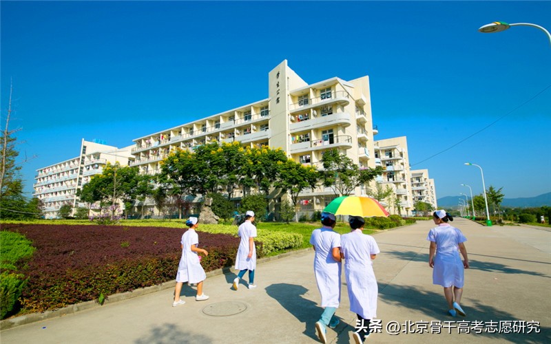 一路追梦的医专——大别山3省64县唯一一所公办医学高专