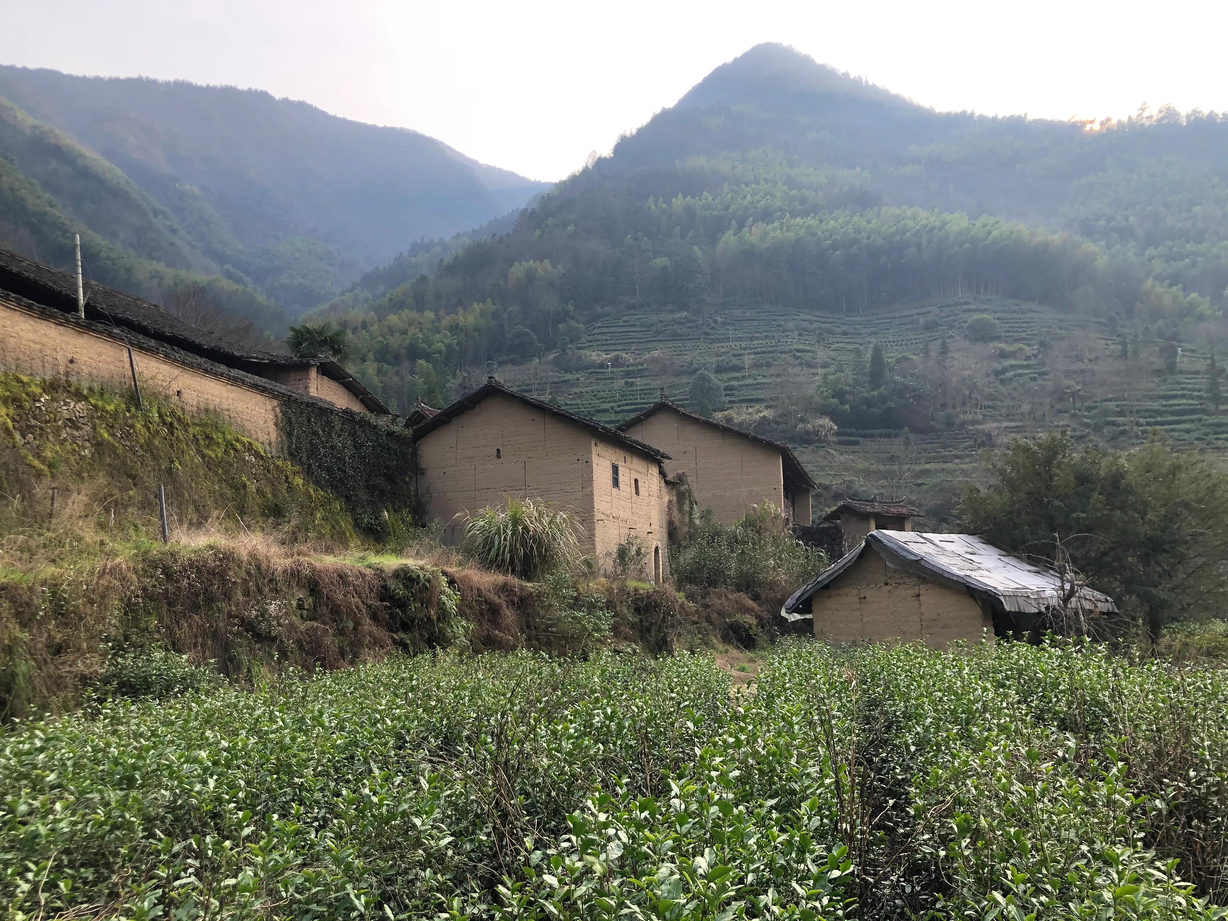 畲寨东弄田园综合体团购,畲寨东弄田园综合体好玩吗