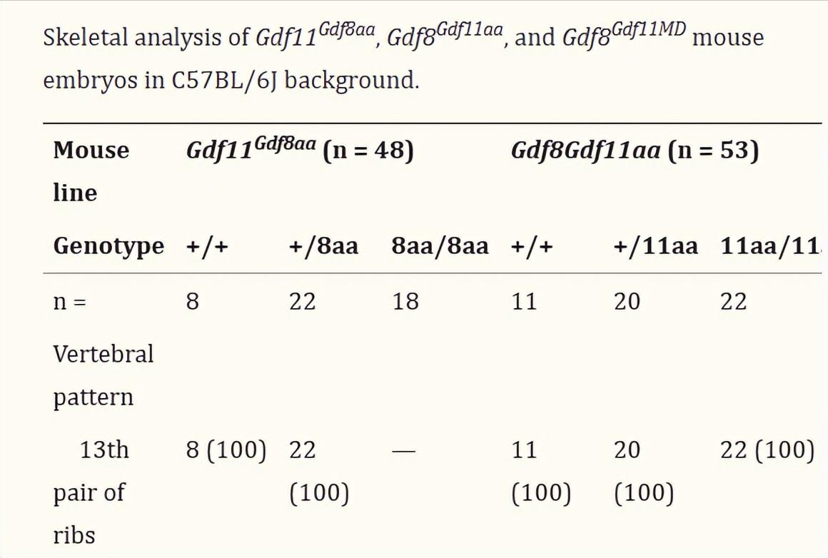 探究GDF11和GDF8氨基酸替代对骨骼发育相关信号通路的实用性研究