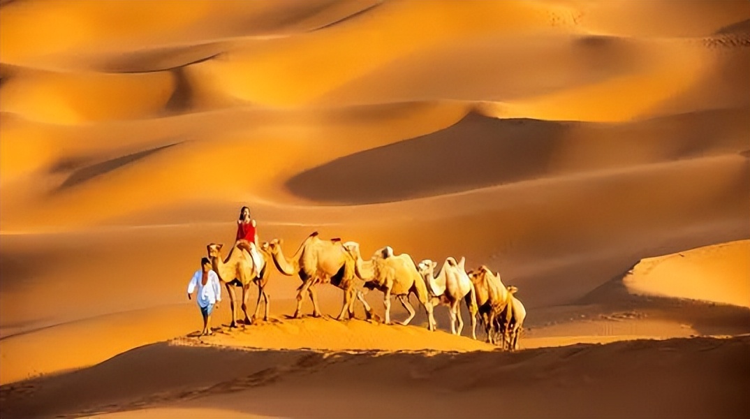 四月新疆伊犁草原,新疆伊犁野杏花最美人间四月天