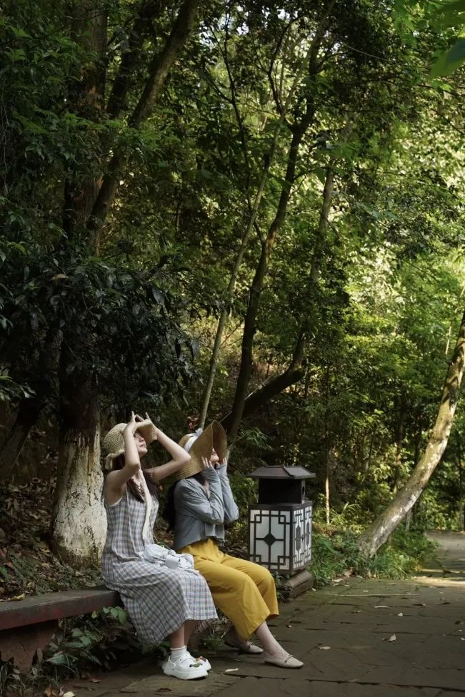 成都周边游一天一晚短途旅游,成都周边4日游哪里巴适