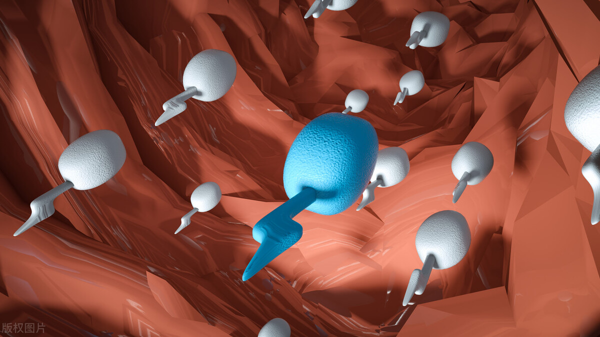 男性如果有无精症就会绝后吗,男人被诊断出不育是什么原因