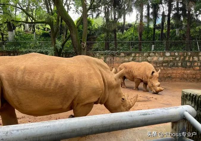昆明市区十大景点介绍,云南昆明市区旅游景点