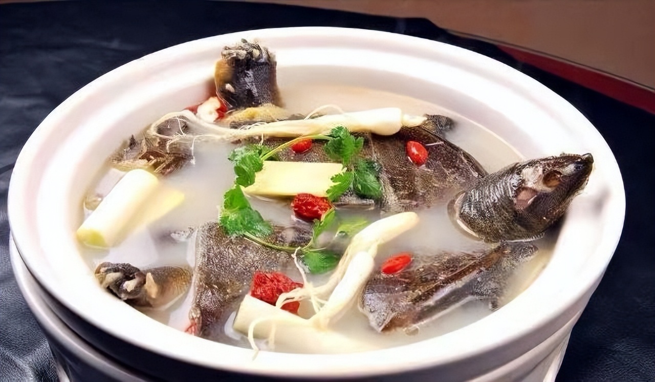 钓甲鱼线组怎么搭配,野钓甲鱼钓鱼视频教程