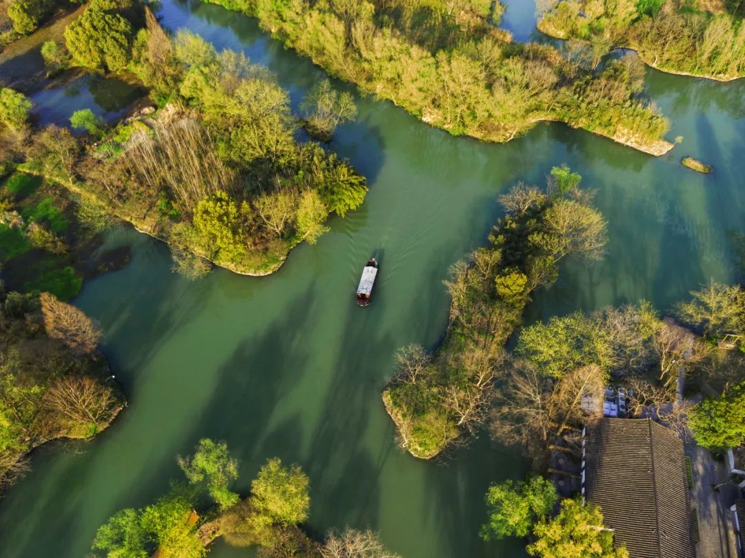春天的潺潺溪水,春天的顶流