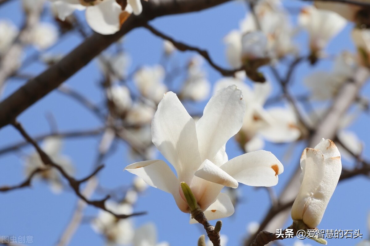 讨厌一个人用不着翻脸的文章,面对很讨厌的人用不着翻脸