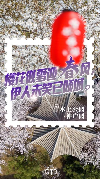 四月的天津,四月初的天津