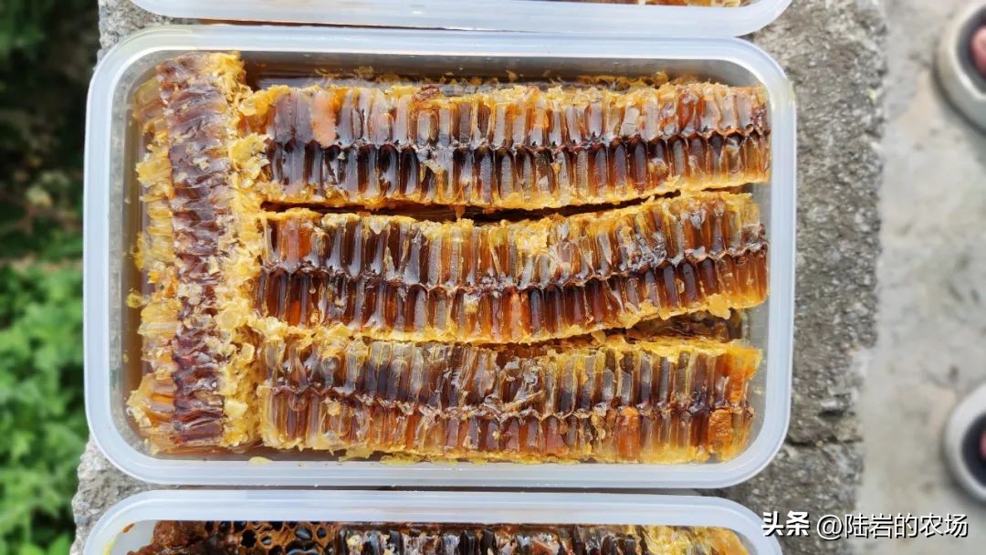 盘点市面五种常见蜂巢