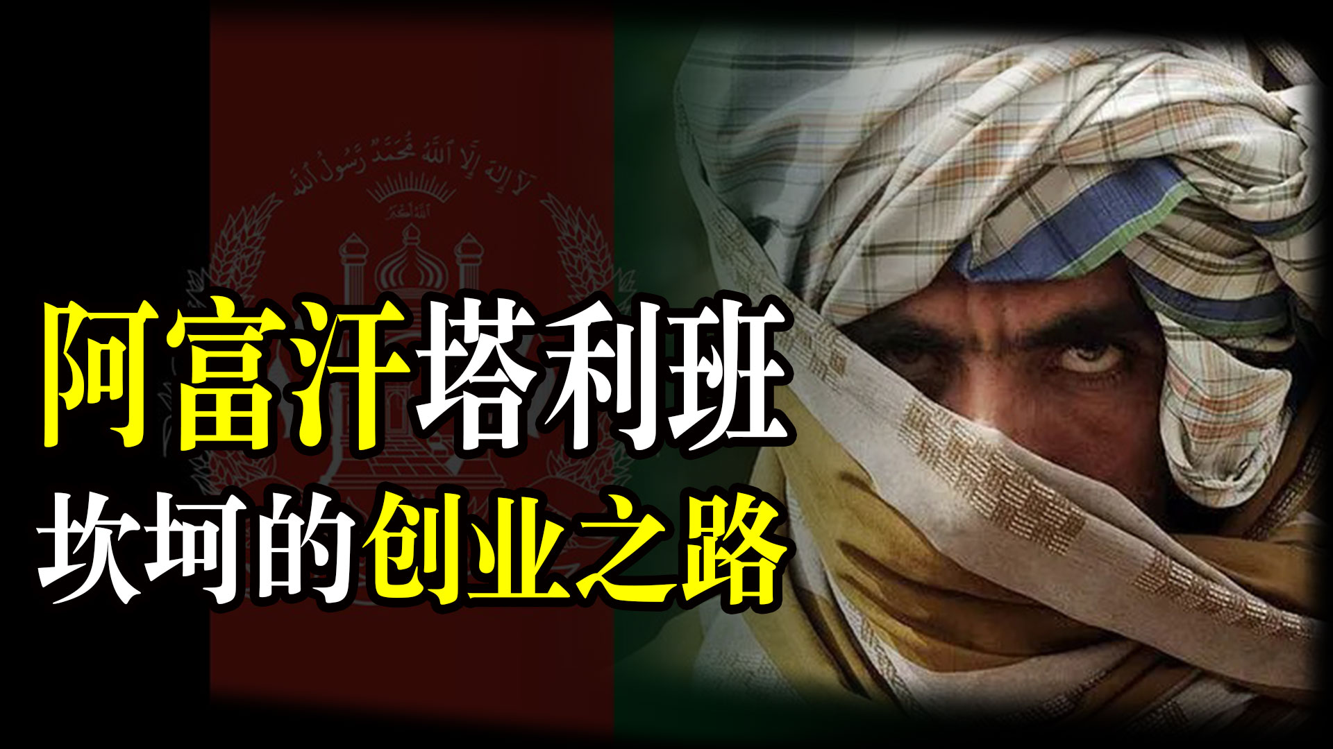 阿富汗塔利班的成功之路,阿富汗塔利班成长史