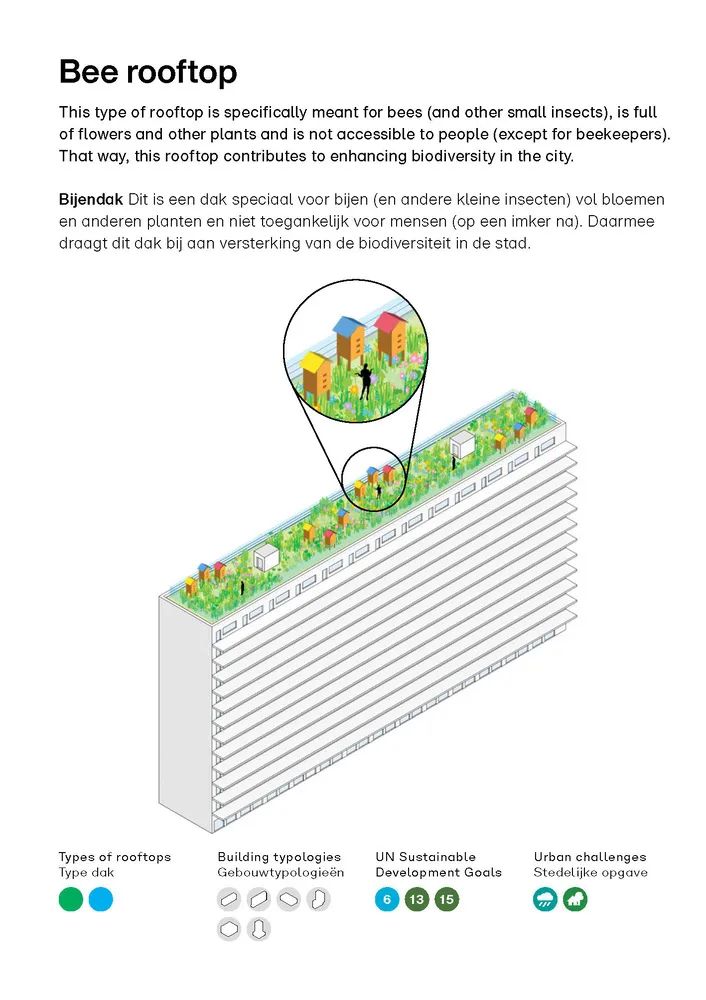 屋顶设计说明书,屋顶设计教程