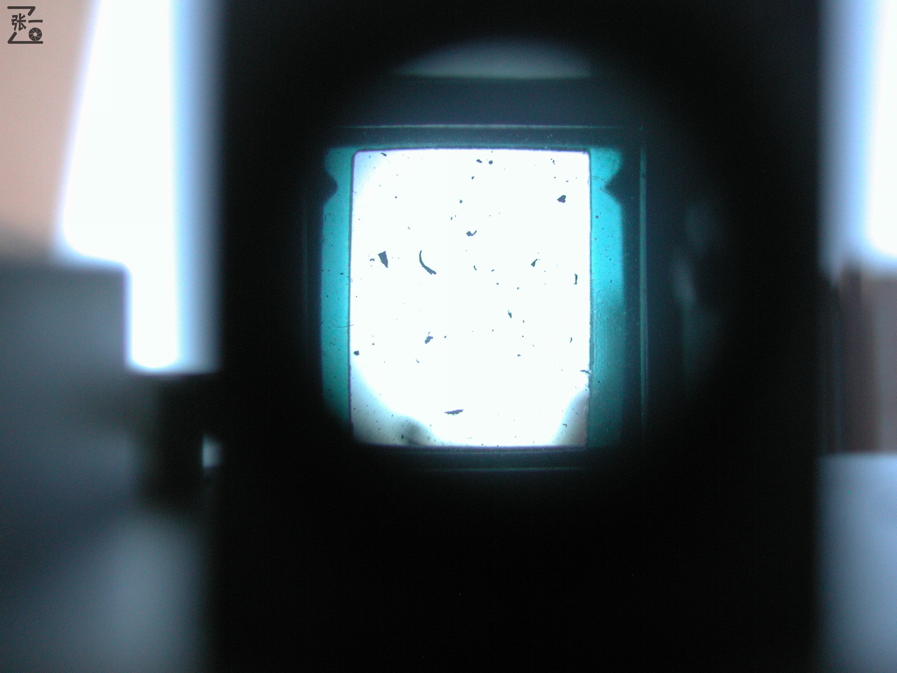 旧奥林巴斯olympus相机价格表,奥林巴斯复古相机