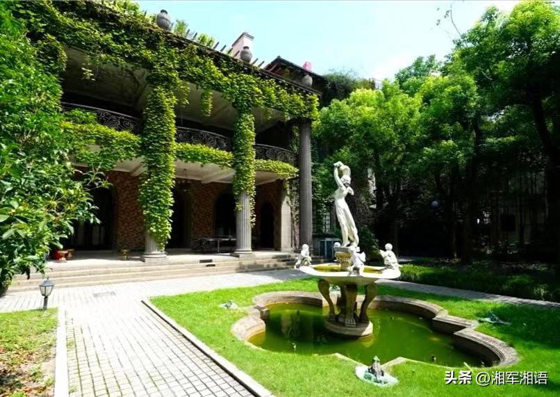 苏清闲说｜爬山虎的力量