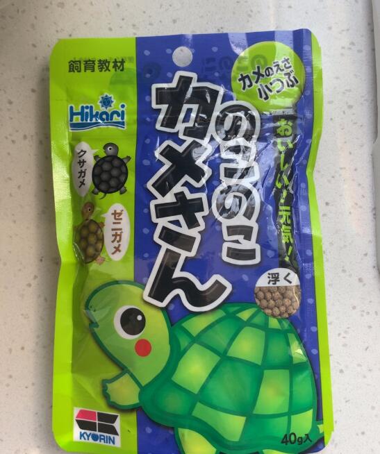 龟所有用品,新手养龟用品