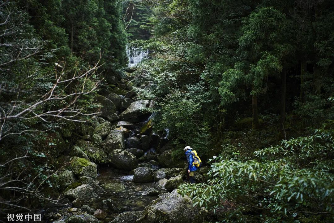 10首绝佳宋诗，每一首都值得千古传诵