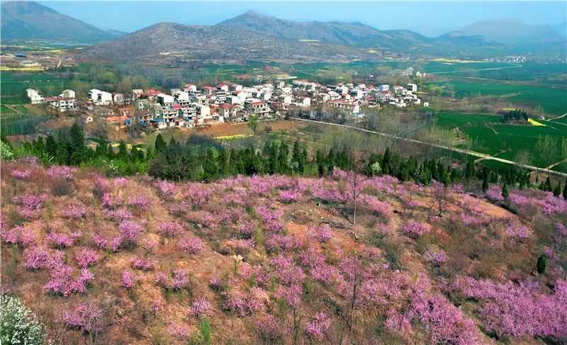 安徽宿州埇桥区今天的信息,安徽省宿州市埇桥区简介