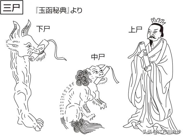 鏃ユ湰钀借鍦ㄧ嚎瑙傜湅,鏃ユ湰钀借