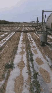 这个抹胸裙是怎么保证它不掉下来的？