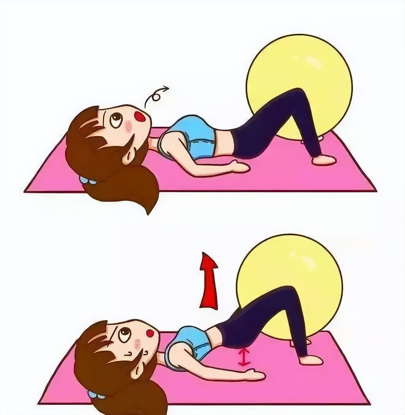 门肌训练,盆底肌医学讲解