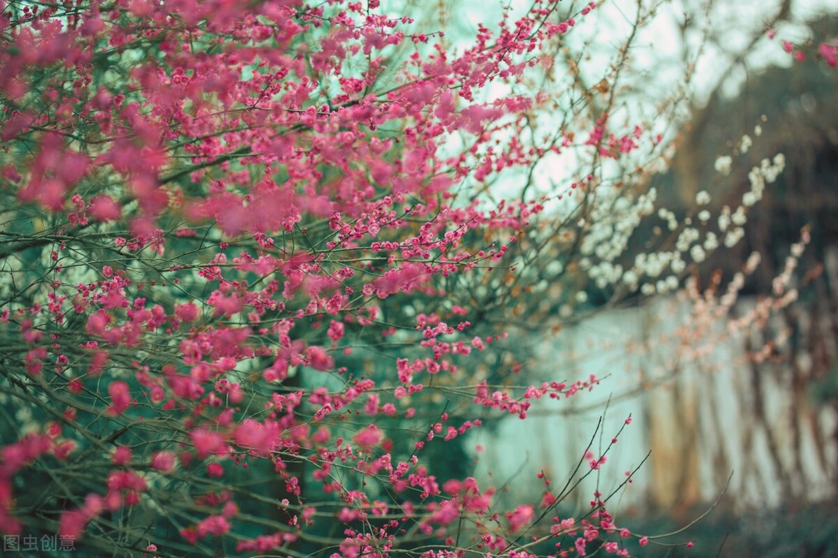 闂茶瘽闄ゅ鐏皽,闂茶瘽鐚滆皽绯诲垪