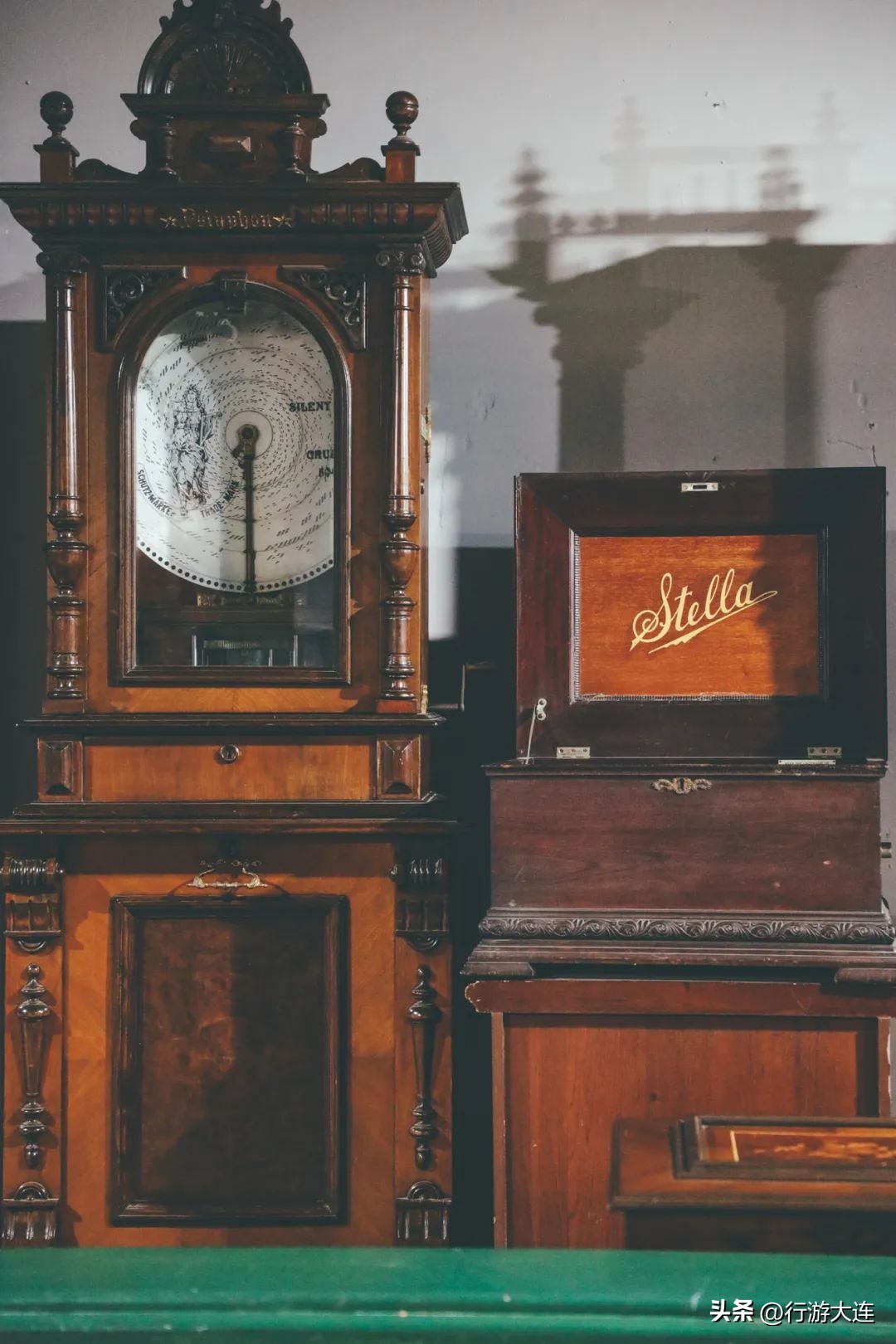 漫步银杏海~大连最美秋日在这里