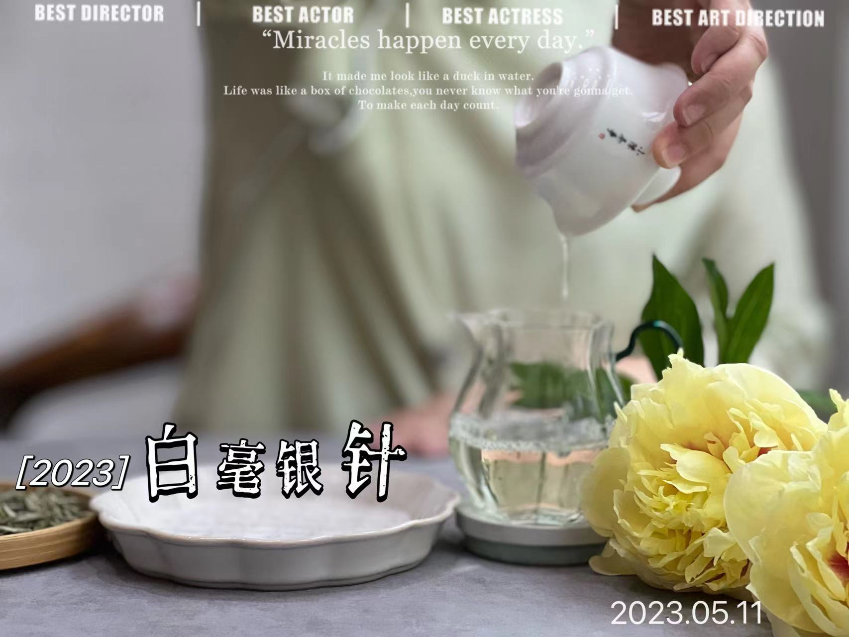 白茶白毫银针与白牡丹哪个好,白茶是买白毫银针还是寿眉牡丹王