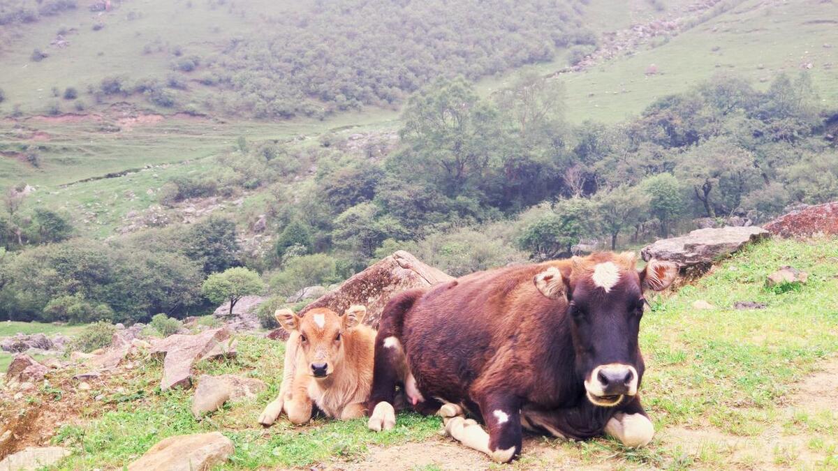 四川容易被忽视的市,四川最被低估的景区